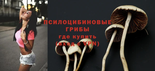 мет Заводоуковск