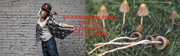 мет Заводоуковск