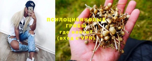 мет Заводоуковск